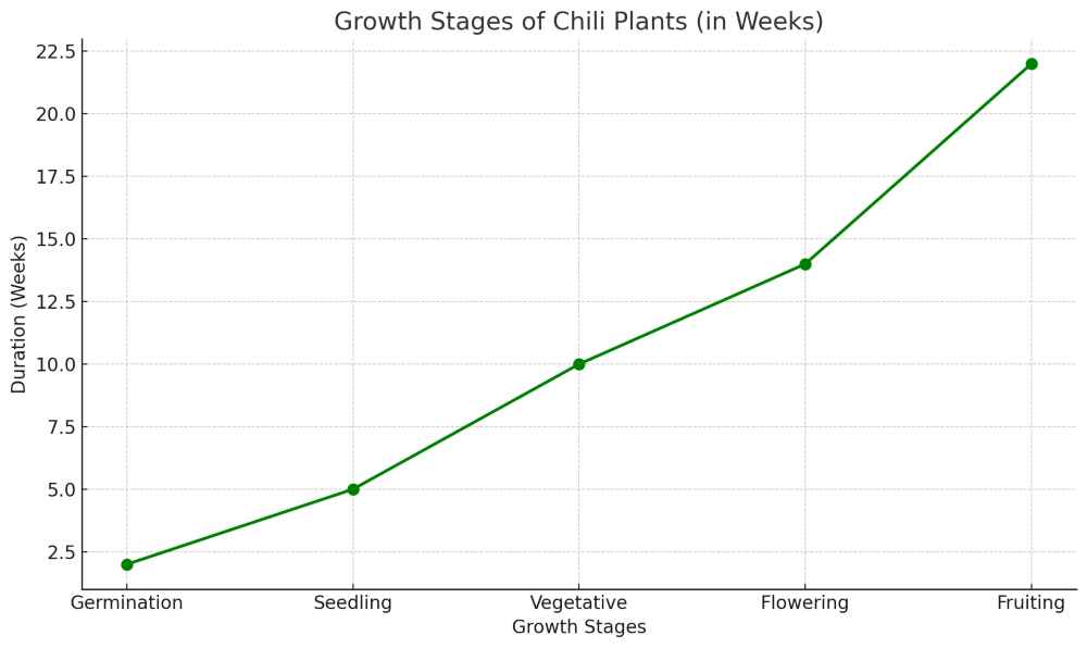 A growth Graph for chilis