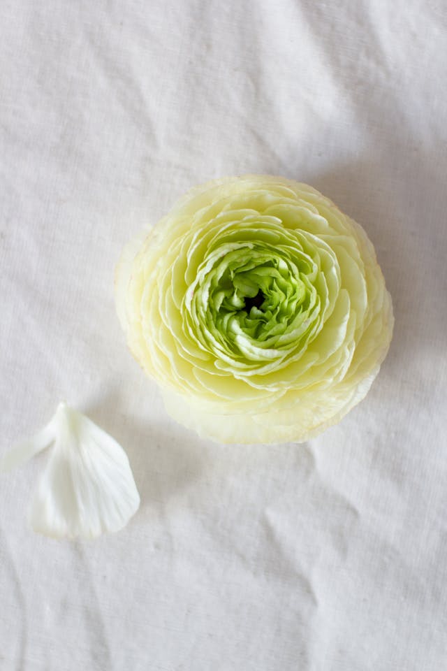 What Does Buttercup Mean?