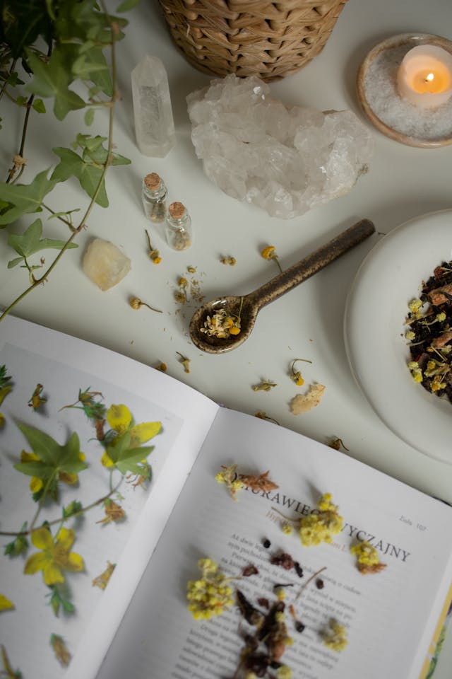 The Lost Book of Herbal Remedies: A Guide to Natural Healing