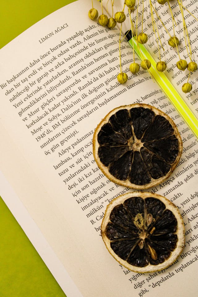 The Lost Book of Herbal Remedies: A Guide to Natural Healing