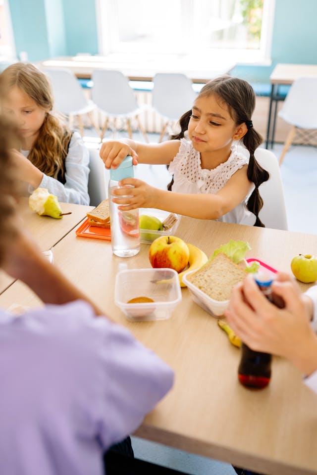 Illinois School Food Grant Cut: What It Means for Kids and Schools