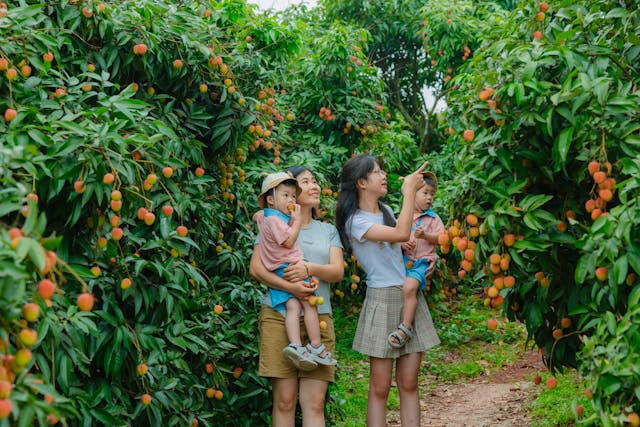 Blandy Experimental Farm: A Place of Nature and Discovery