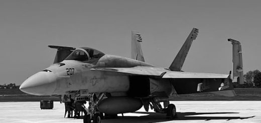 MarineNet: Your Guide to U.S. Marine Corps Online Learning Success