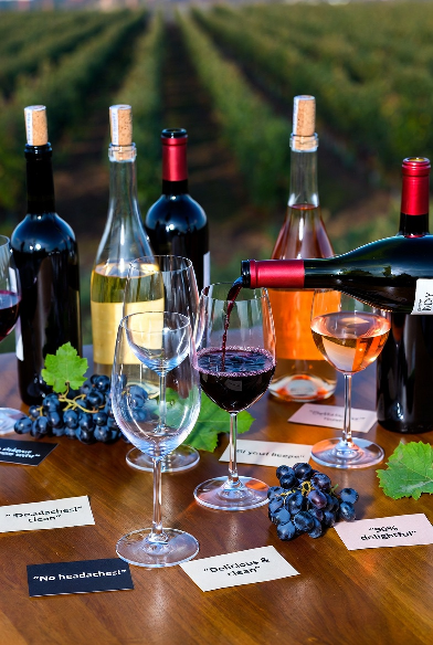 Dry Farm Wines Reviews: Honest Taste, Value, Quality Guide