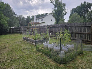 When to Plant Tomatoes in My Zone Hampton Guide
