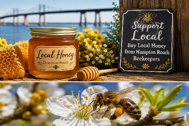 Local Honey Near Hampton Roads: A Sweet Guide