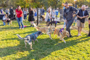 Bark in the Park Grand Reopening Event Hampton Roads