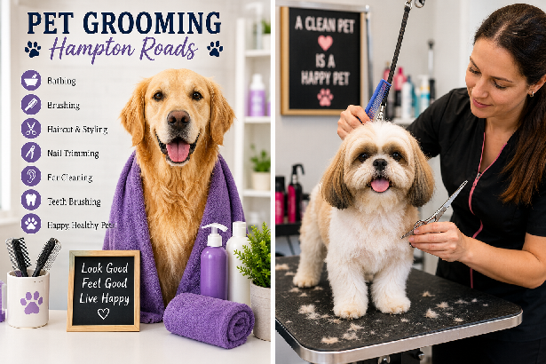 Pet Grooming Hampton Roads Guide for Happy Healthy Pets