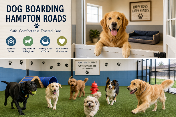 Dog Boarding Hampton Roads Safe Trusted Pet Care Guide