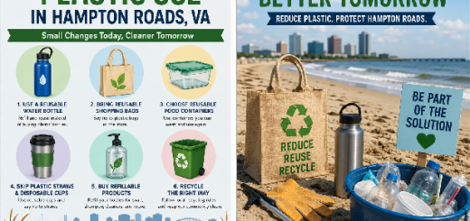 How to Reduce Plastic Use in Hampton Roads VA Today