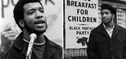 Fred Hampton Biography Legacy Leadership History Complete Guide