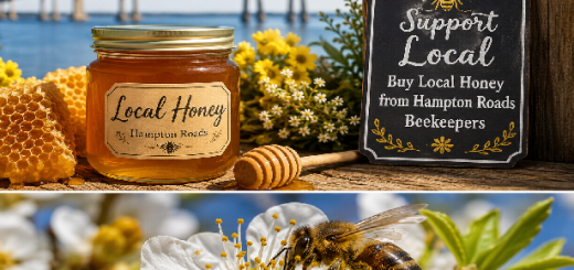 Local Honey Near Hampton Roads: A Sweet Guide
