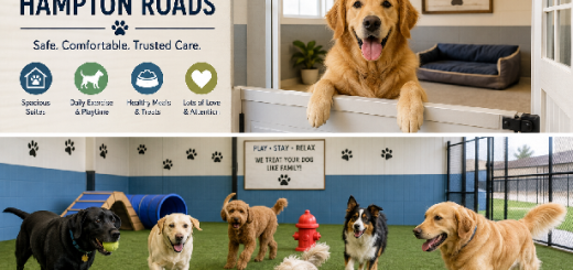 Dog Boarding Hampton Roads Safe Trusted Pet Care Guide