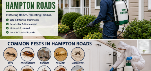 Pest Control Hampton Roads Complete Home Protection Guide Today